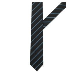 Галстук ATELIER F&B R 27