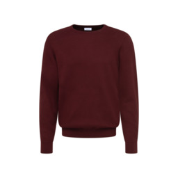 Джемпер SEIDENSTICKER 154110/48